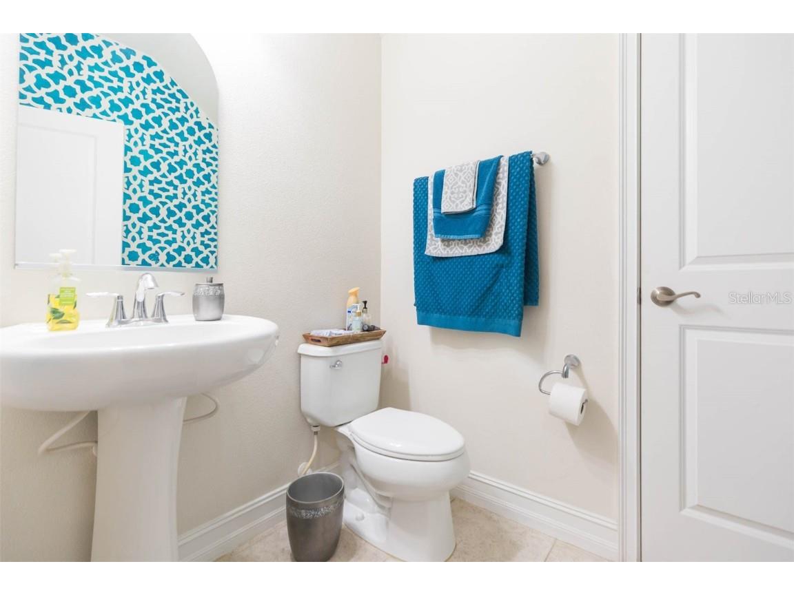 33191 Azalea Ridge Drive Wesley Chapel FL 33545 TB8397744 image14