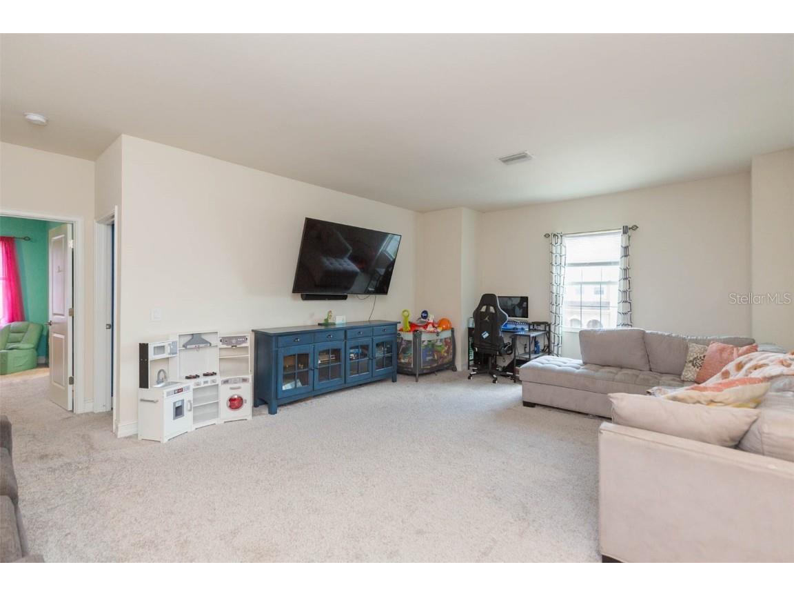 33191 Azalea Ridge Drive Wesley Chapel FL 33545 TB8397744 image33