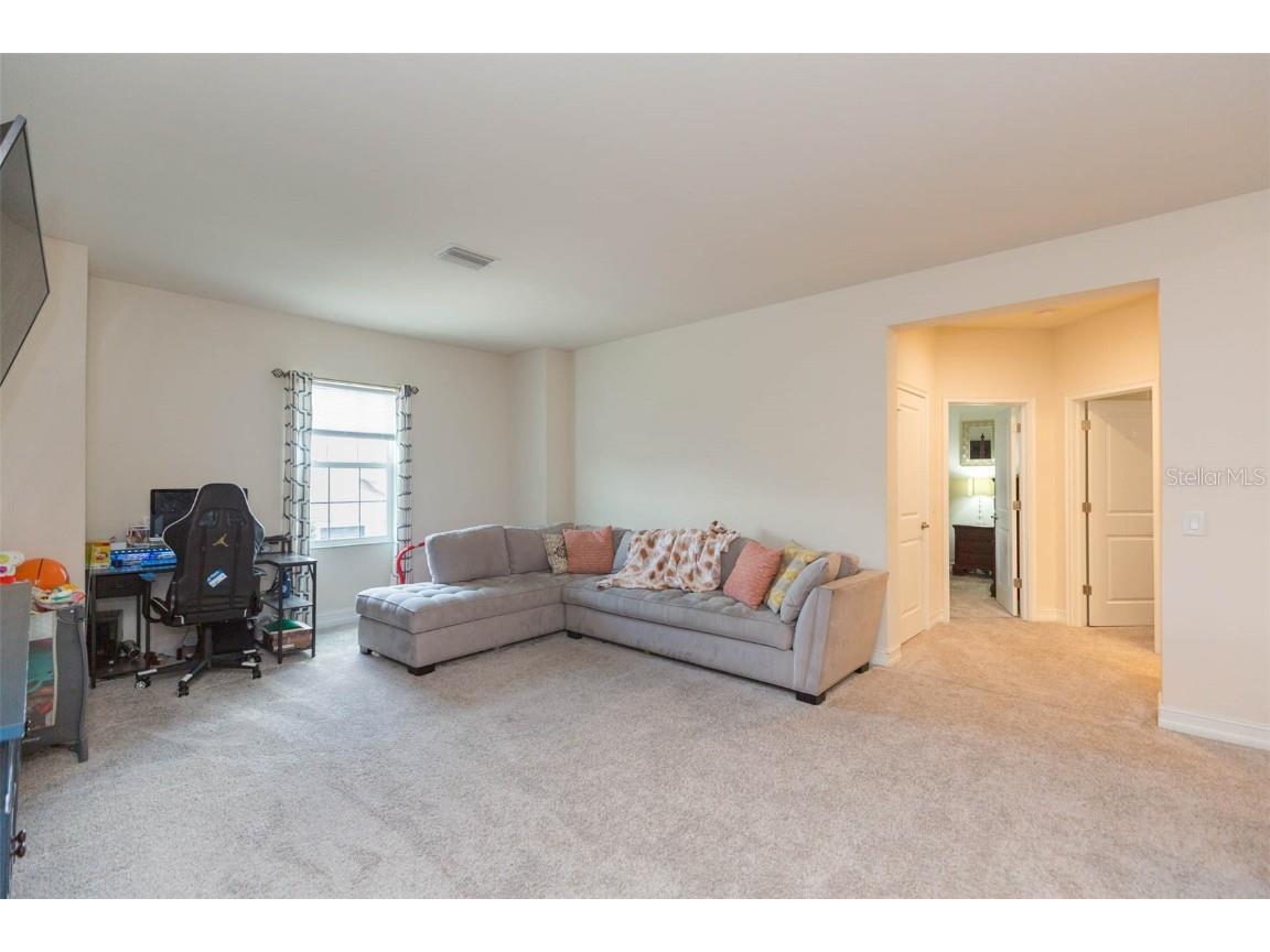 33191 Azalea Ridge Drive Wesley Chapel FL 33545 TB8397744 image34