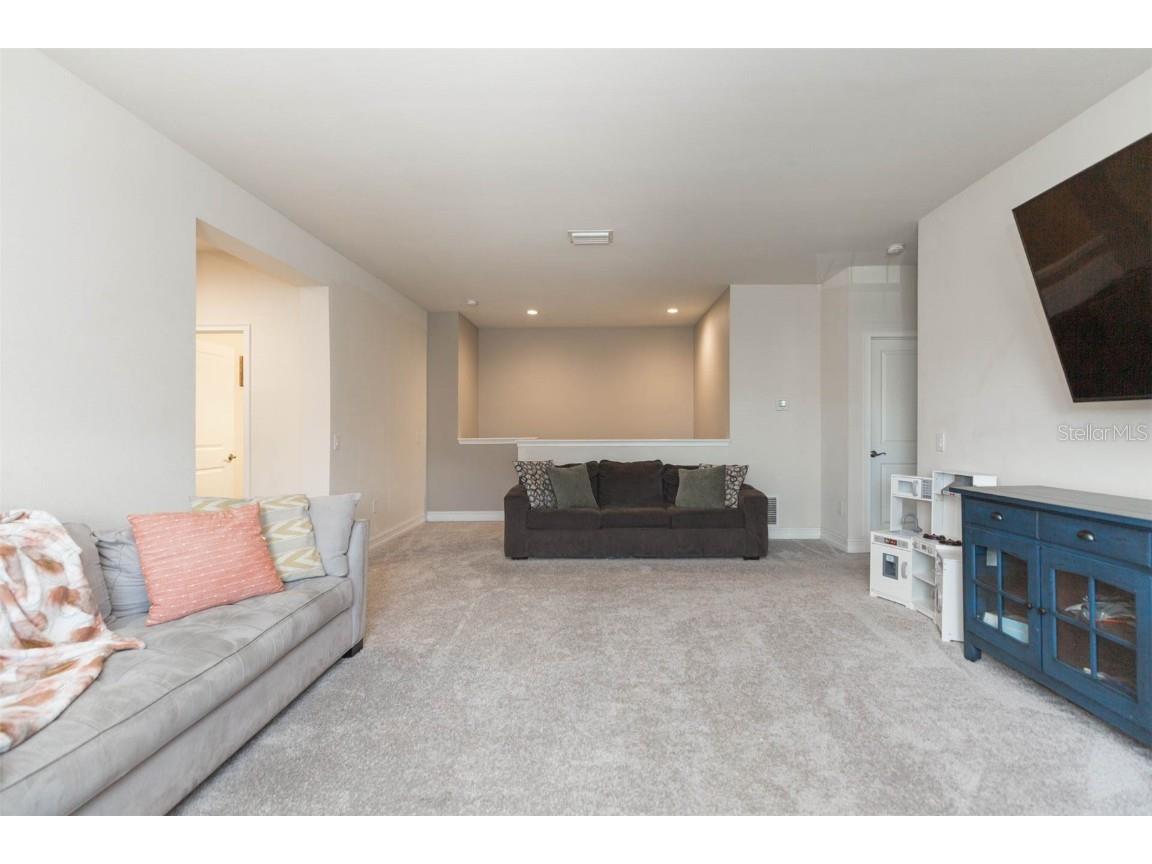 33191 Azalea Ridge Drive Wesley Chapel FL 33545 TB8397744 image35