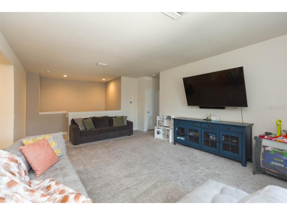 33191 Azalea Ridge Drive Wesley Chapel FL 33545 TB8397744 image36