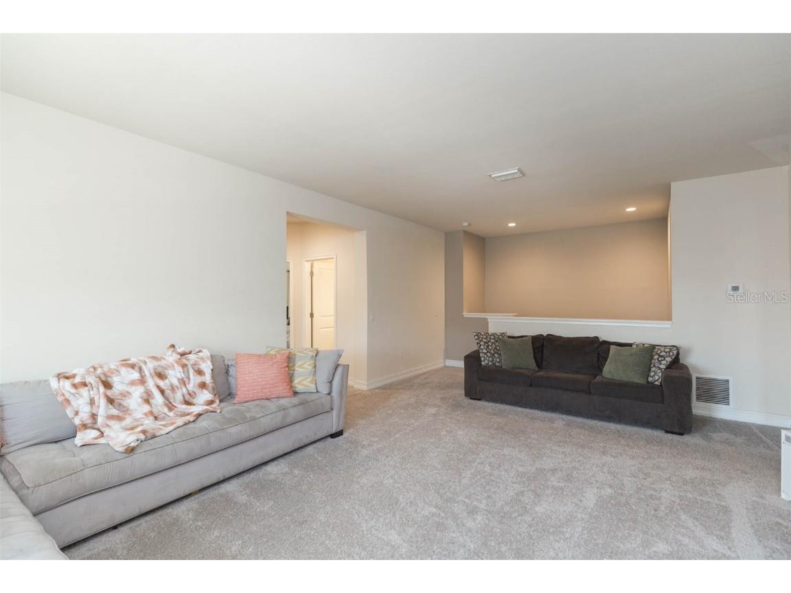 33191 Azalea Ridge Drive Wesley Chapel FL 33545 TB8397744 image37