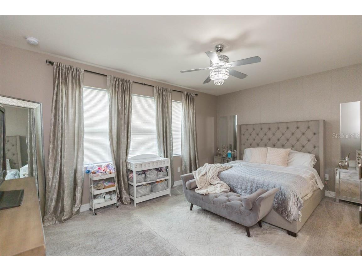 33191 Azalea Ridge Drive Wesley Chapel FL 33545 TB8397744 image43