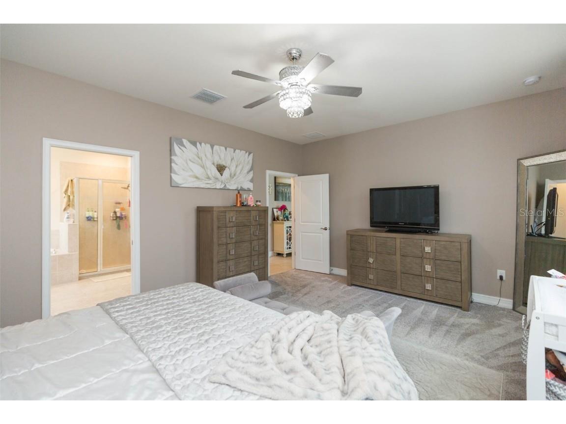 33191 Azalea Ridge Drive Wesley Chapel FL 33545 TB8397744 image45