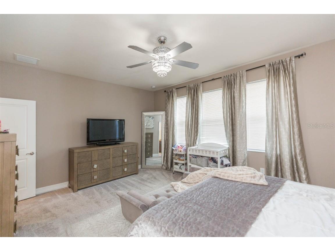 33191 Azalea Ridge Drive Wesley Chapel FL 33545 TB8397744 image46