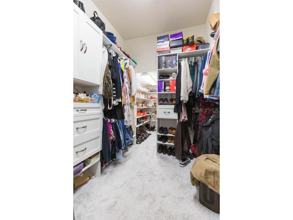 33191 Azalea Ridge Drive Wesley Chapel FL 33545 TB8397744 image52