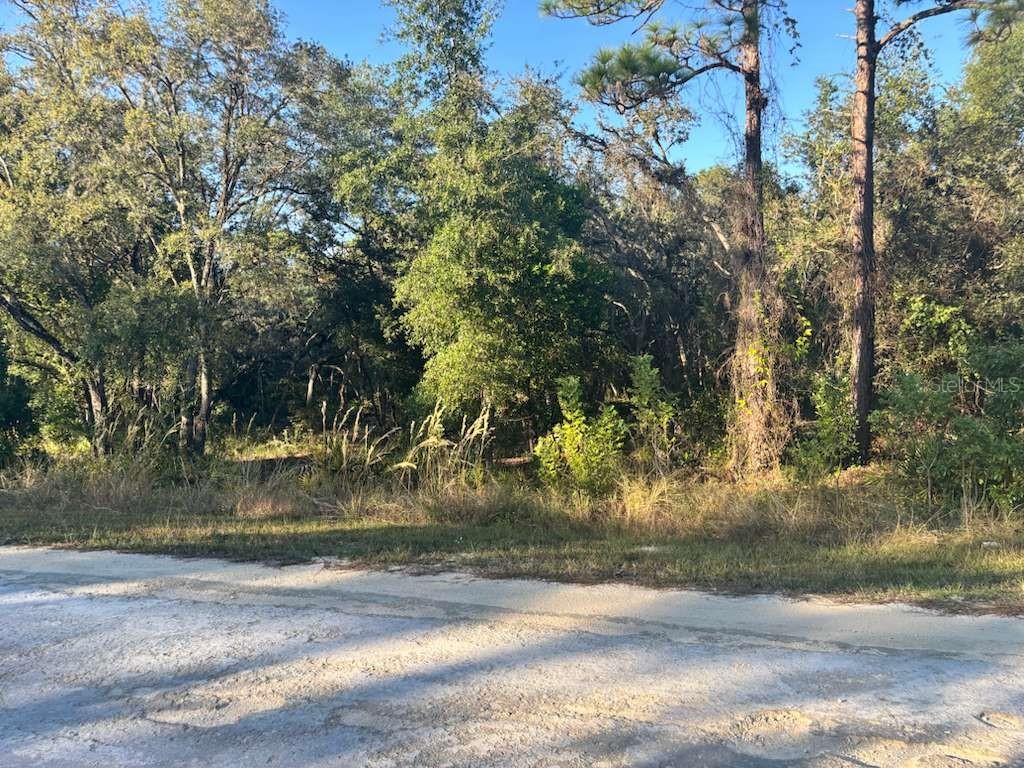 33193 Easter Drive Webster FL 33597 TB8442105 image1