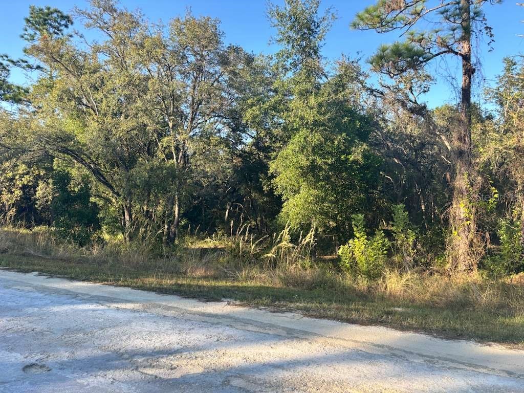 33193 Easter Drive Webster FL 33597 TB8442105 image6