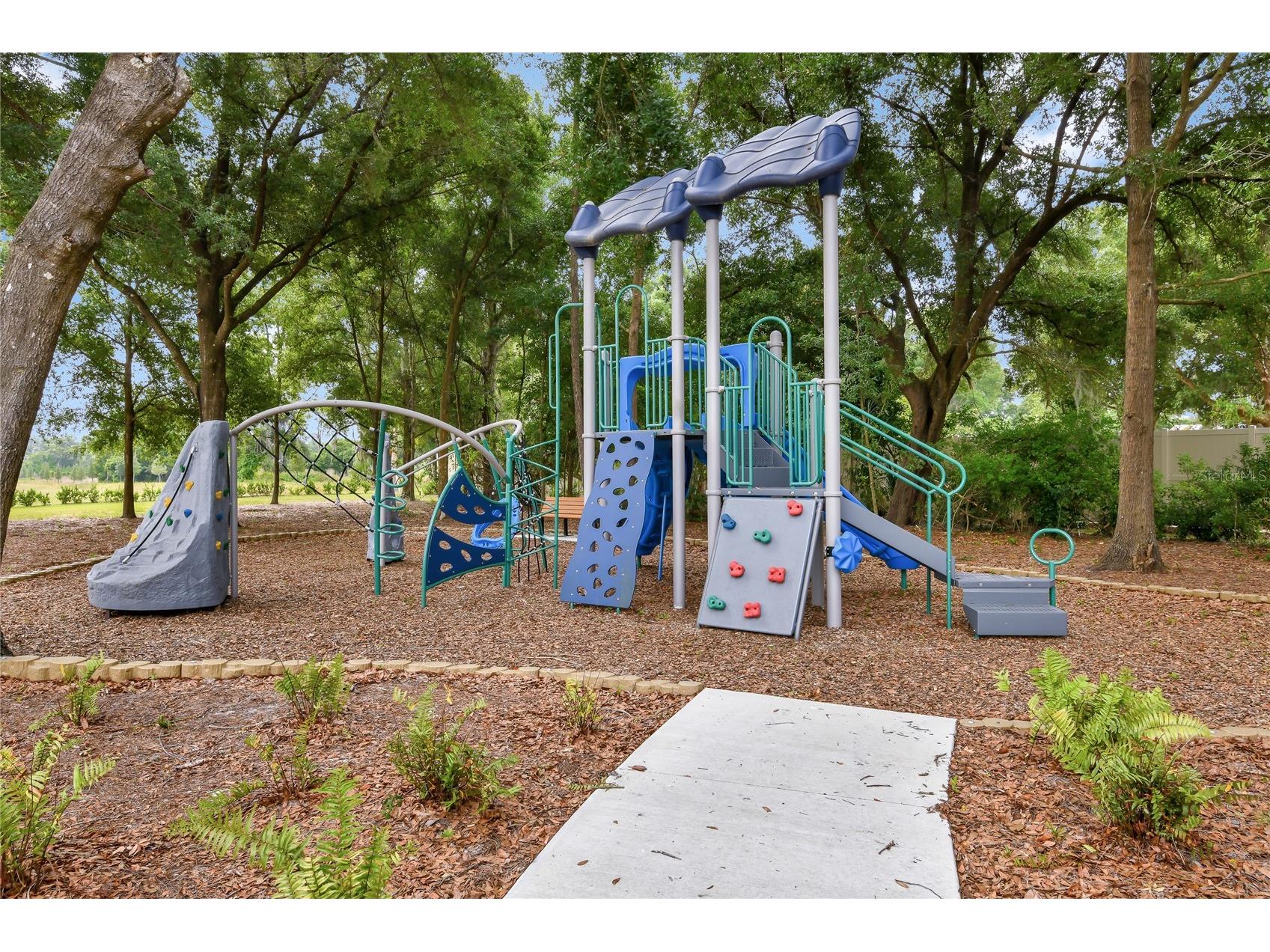 332 Alexandrite Street Deland FL 32720 S5133055 image19