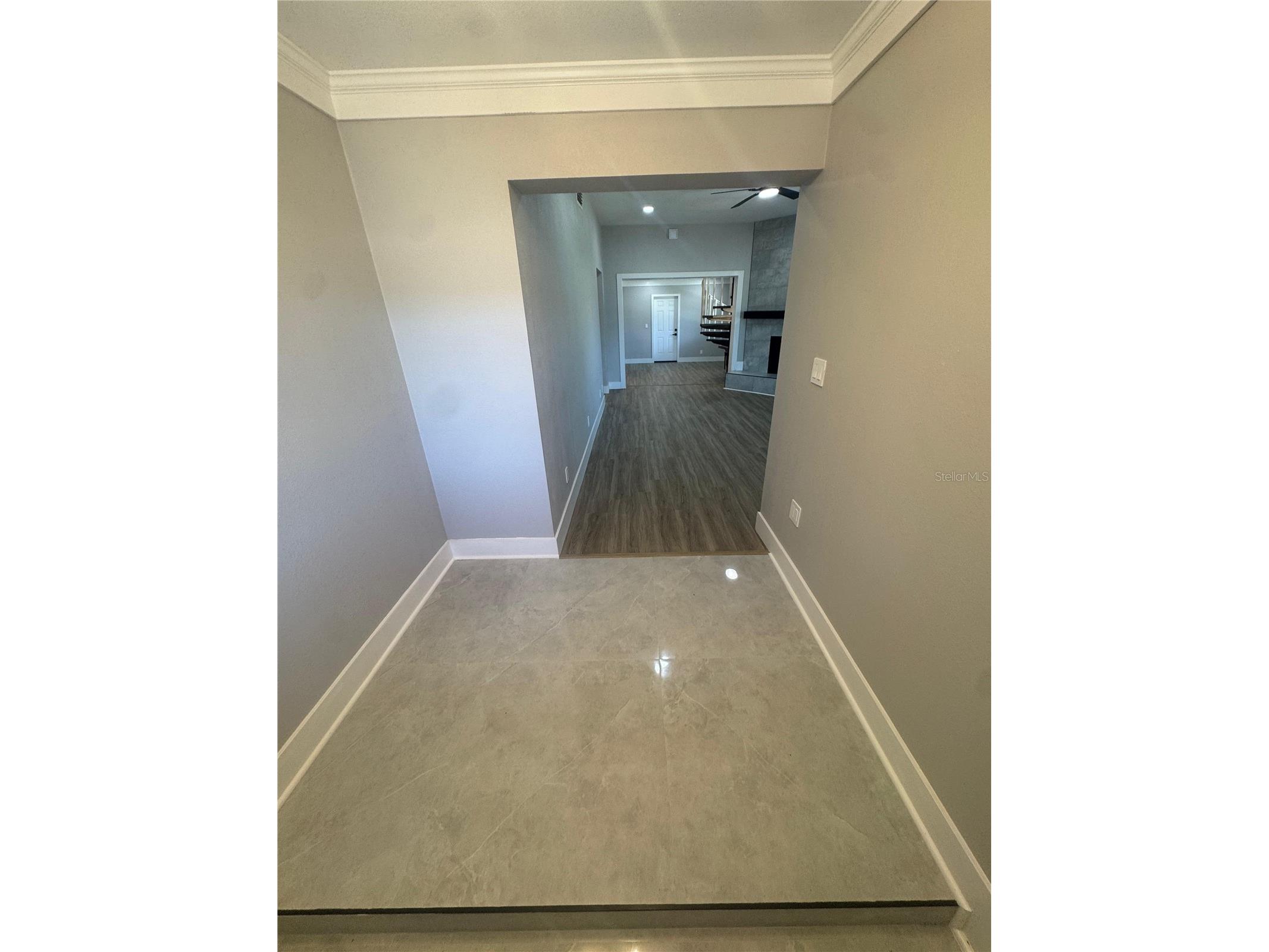 332 Big Tree Road South Daytona FL 32119 O6407292 image8
