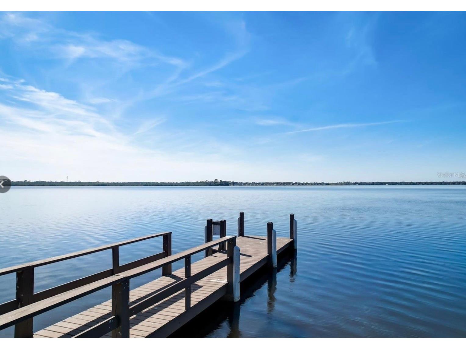 332 Caladium Avenue Lake Alfred FL 33850 - 3 LAKES: ALFRED VAN MEDORA L4959964 image40