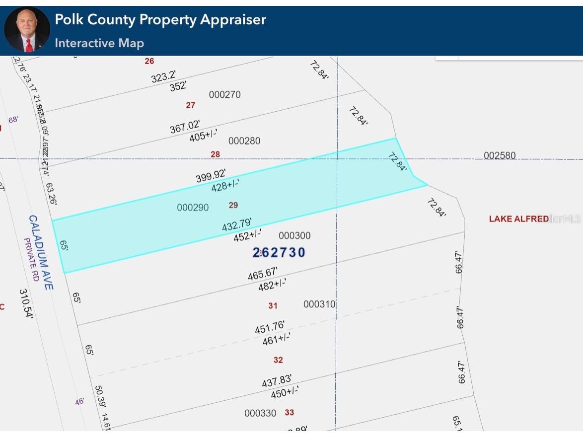 332 Caladium Avenue Lake Alfred FL 33850 - 3 LAKES: ALFRED VAN MEDORA L4959964 image7