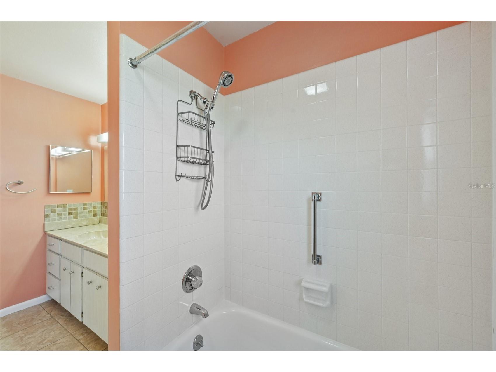 332 Club Manor Drive Sun City Center FL 33573 TB8461359 image27