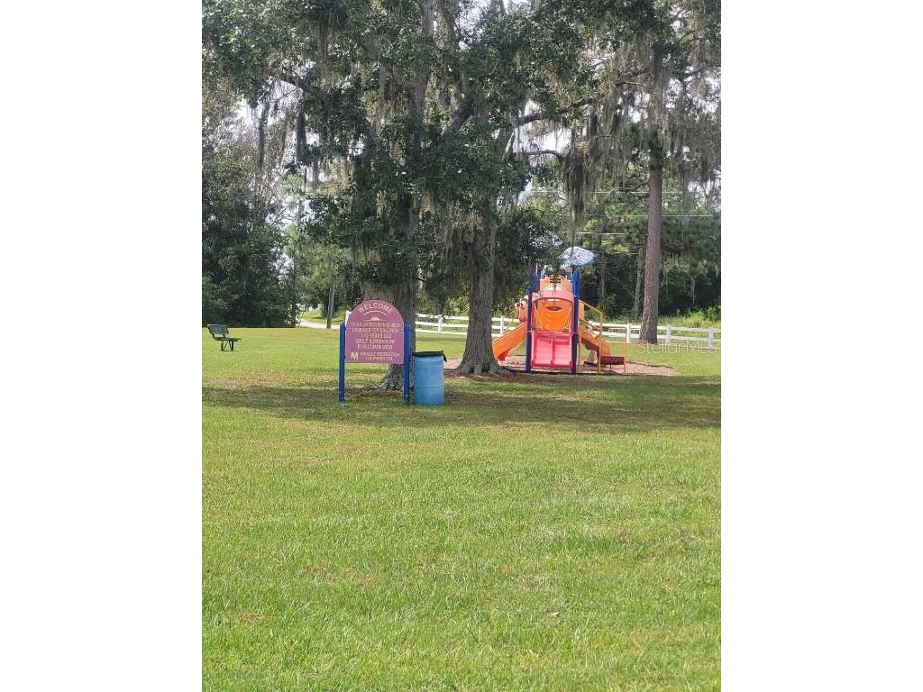 332 Cornwallis Court Kissimmee FL 34758 S5135393 image42