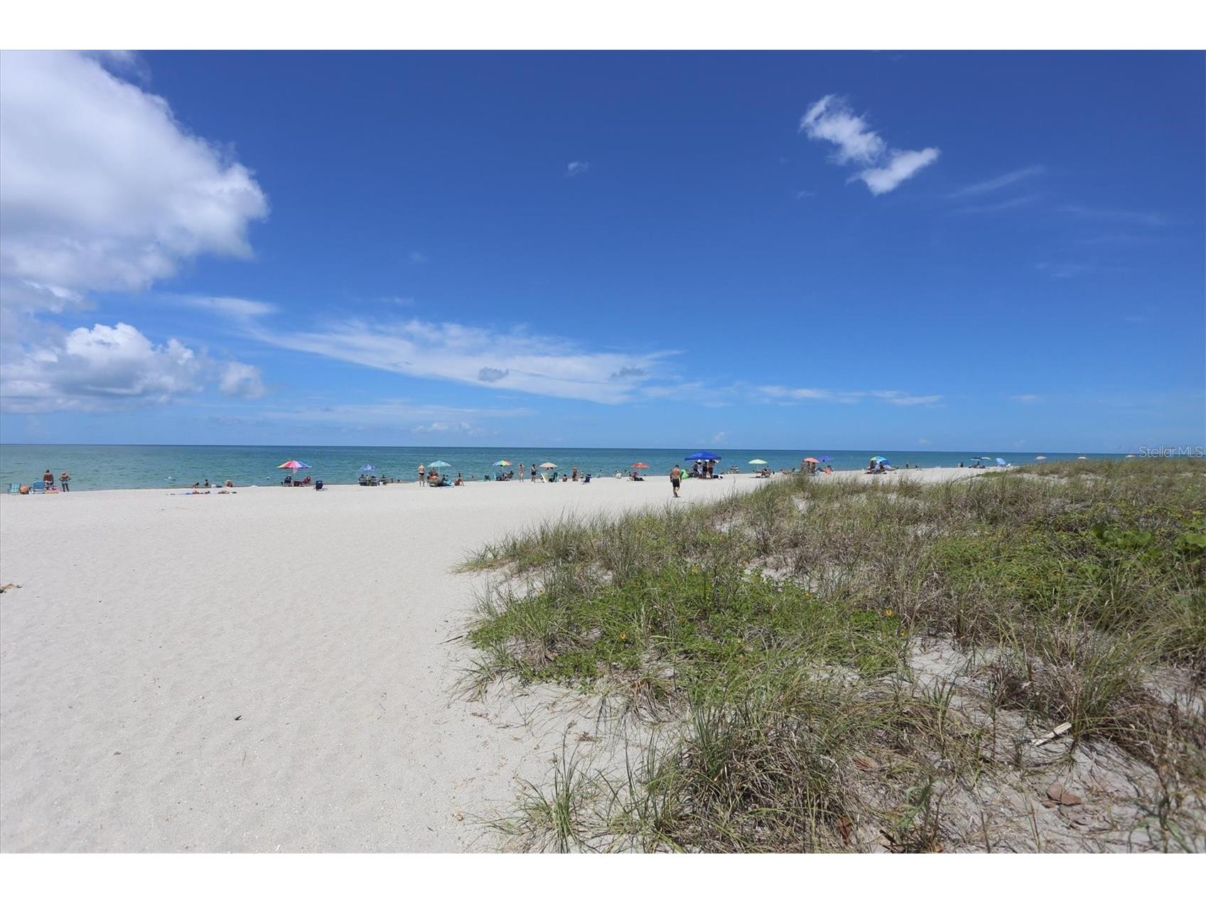332 Cypress Road Venice FL 34293 D6146517 image38