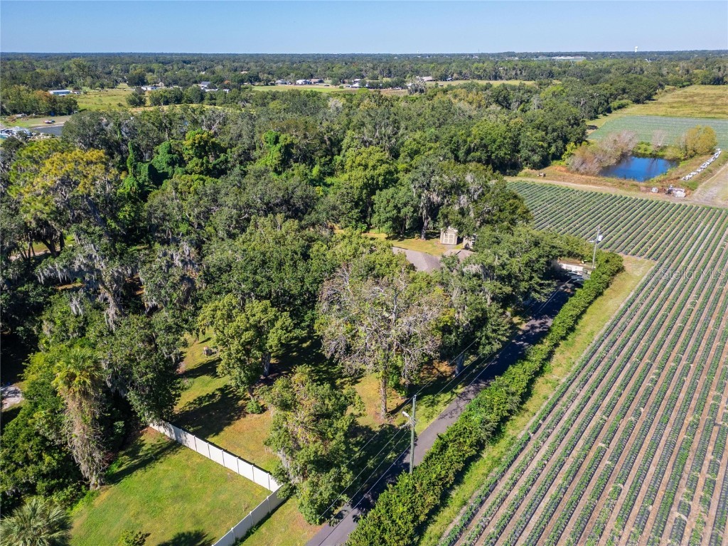 332 Holloway Road Plant City FL 33567 TB8443738 image80