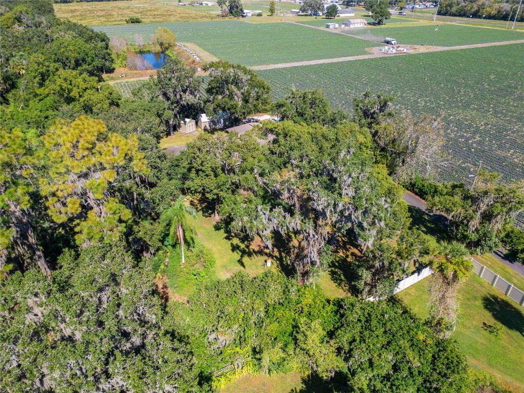 332 Holloway Road Plant City FL 33567 TB8443738 image82