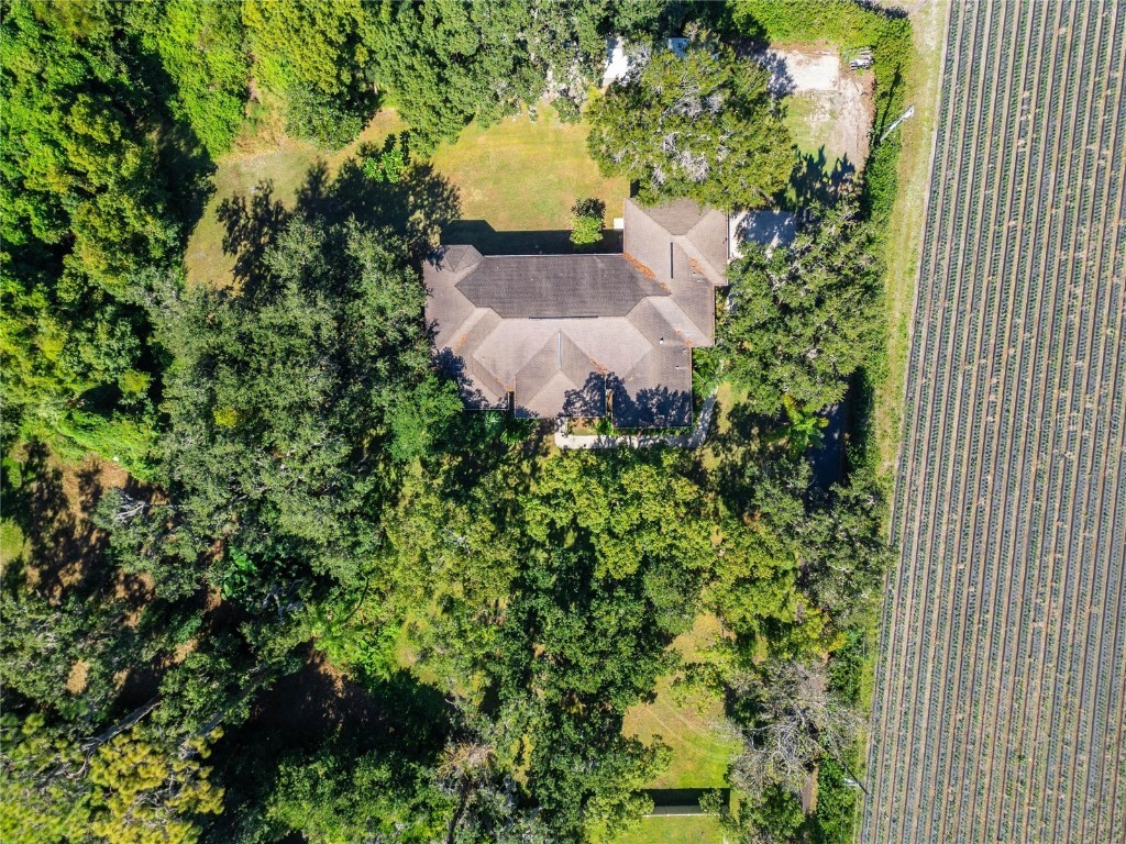 332 Holloway Road Plant City FL 33567 TB8443738 image98