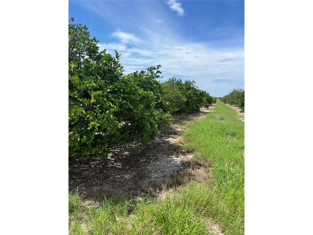 332 Kelly Roberts Road Zolfo Springs FL 33890 L4938511 image1