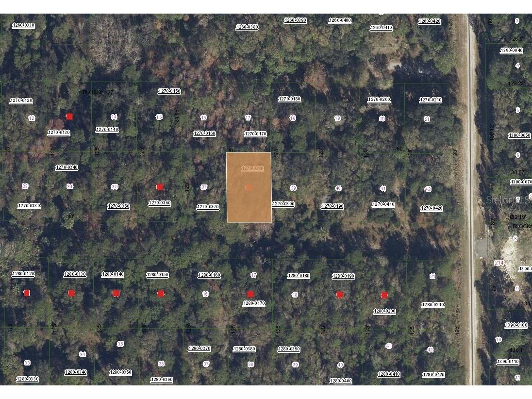 332 Laisy Drive Georgetown FL 32139 OK225575 image1