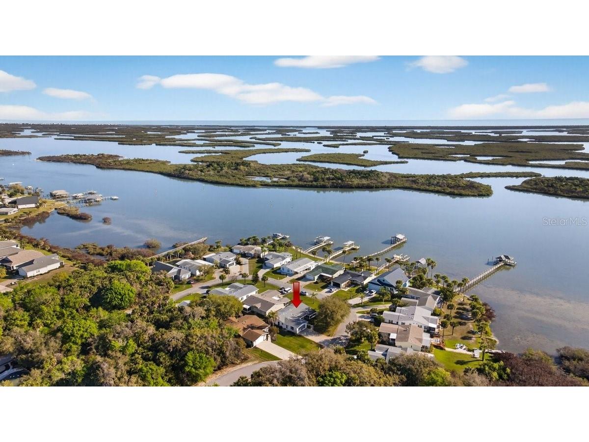 332 Marsh Landing Loop Oak Hill FL 32759 NS1087820 image2