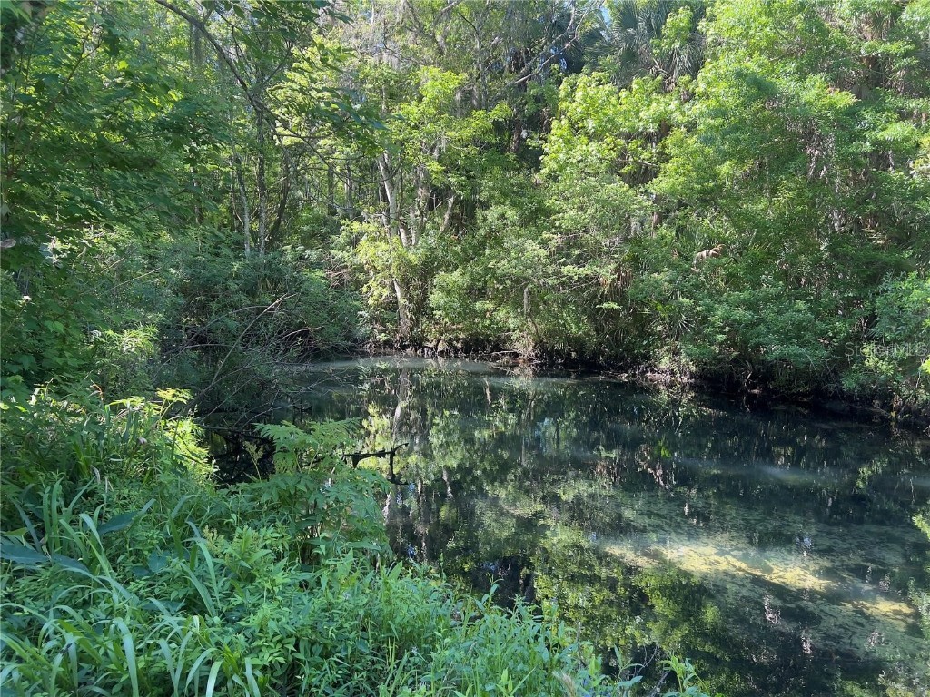 332 NW Crystal Street Crystal River FL 34428 A4676115 image6