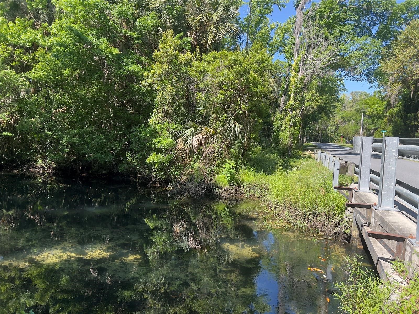 332 NW Crystal Street Crystal River FL 34428 A4676131 image3