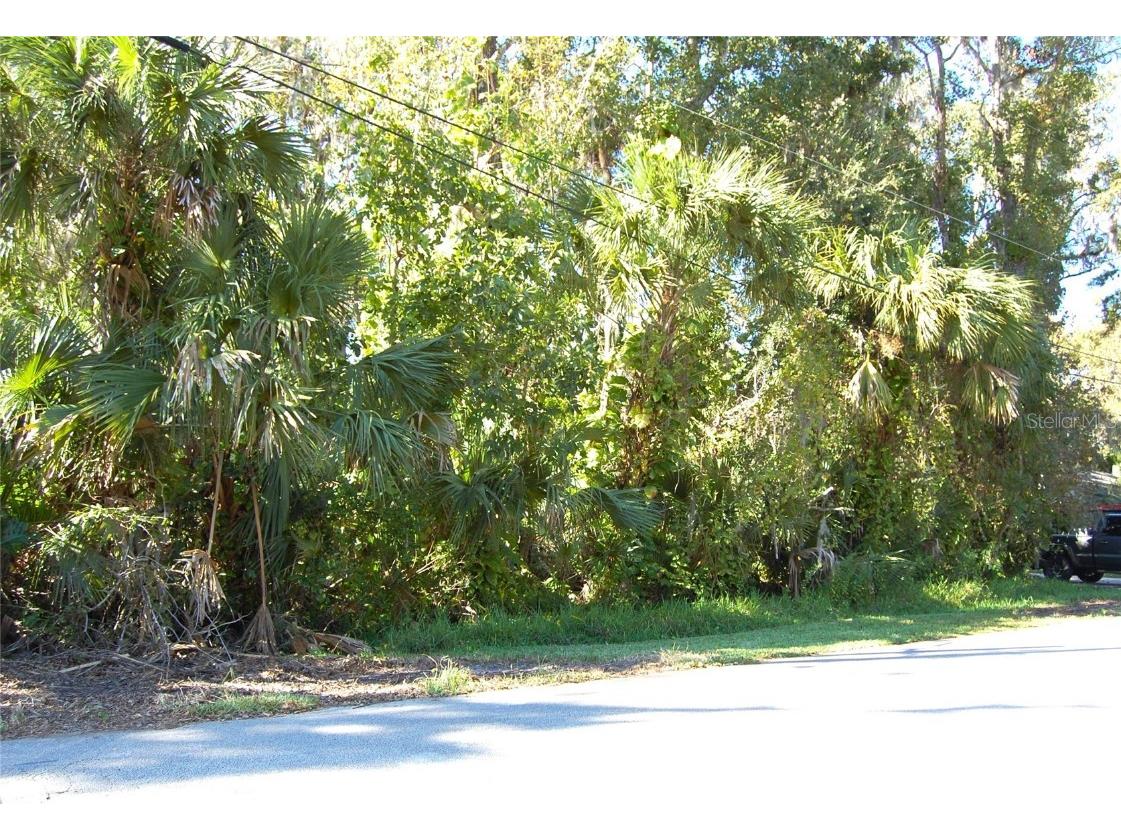 332 Patricia Drive New Smyrna Beach FL 32168 NS1083226 image1