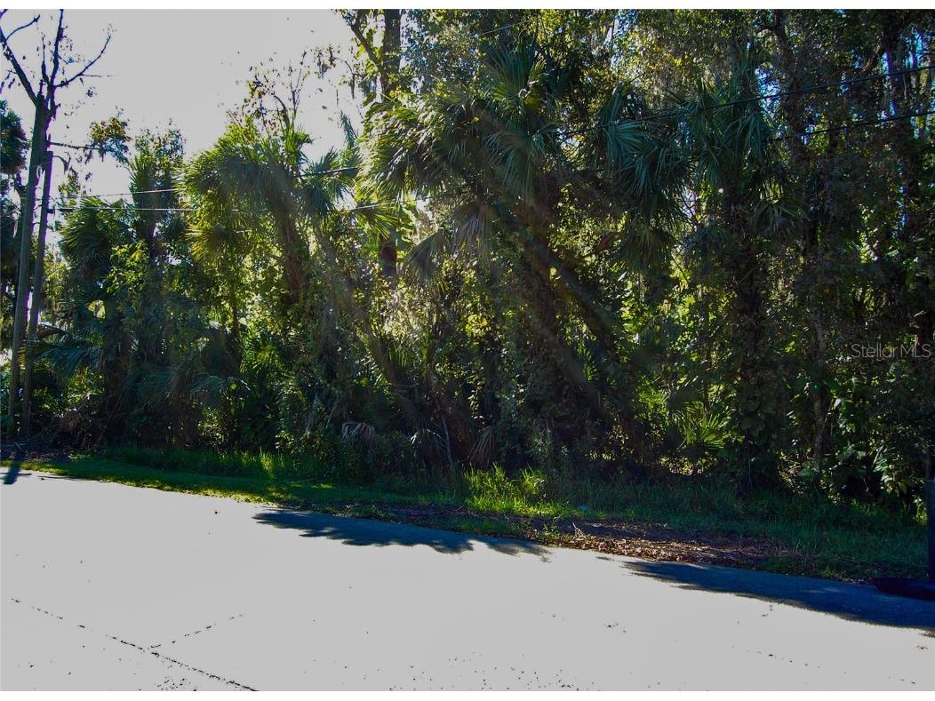 332 Patricia Drive New Smyrna Beach FL 32168 NS1083226 image2