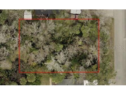 332 Patricia Drive New Smyrna Beach FL 32168 NS1083226 image3