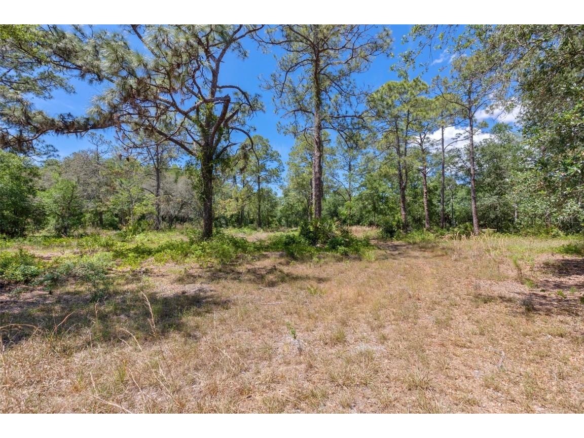 332 Ranch Road Tarpon Springs FL 34688 U8199417 image1