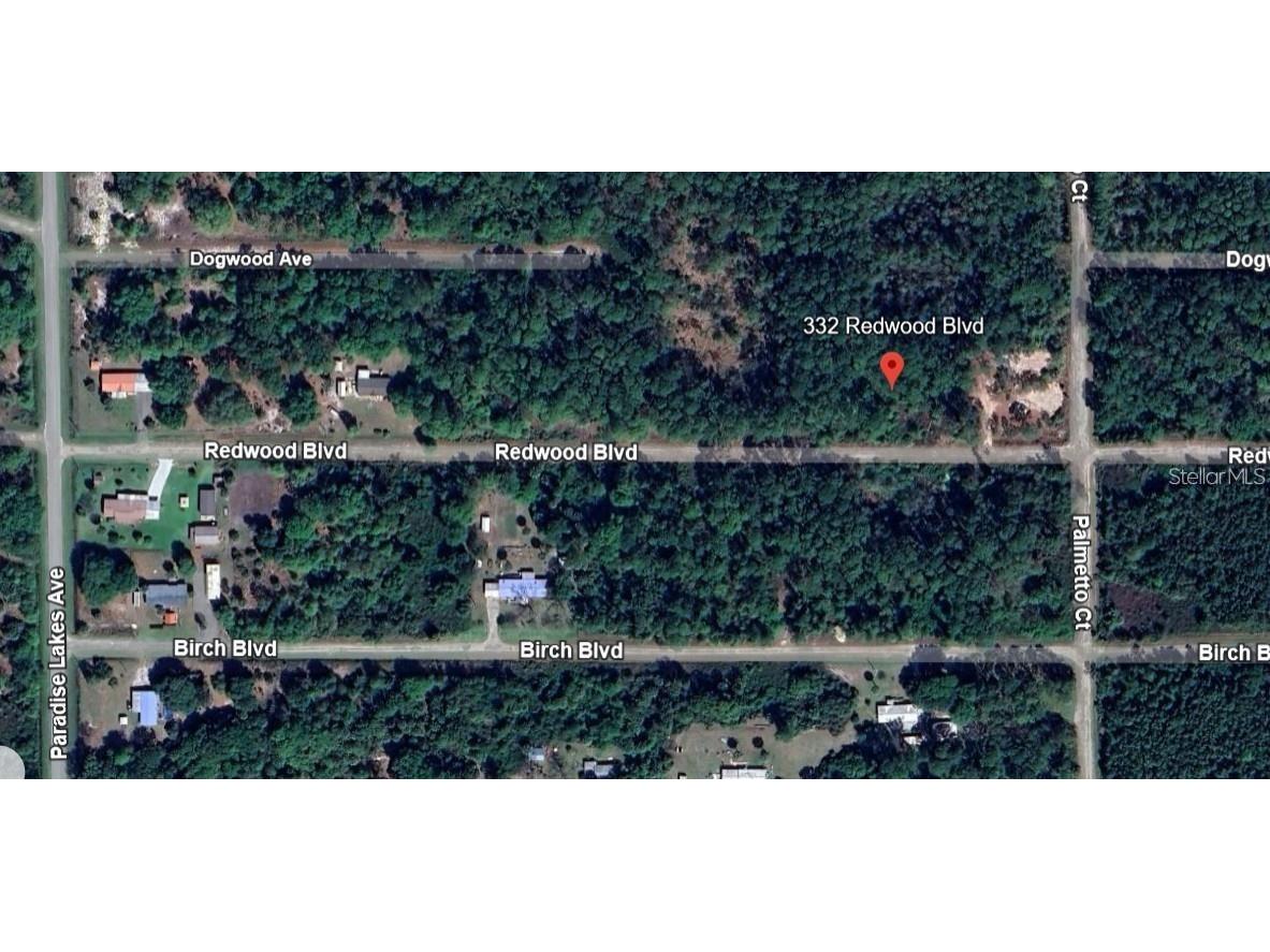 332 Redwood Boulevard Georgetown FL 32139 OM715506 image1