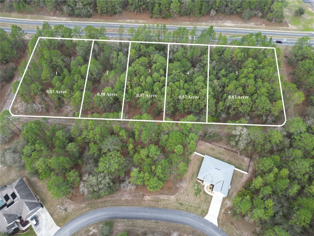 332 W Citrus Springs Boulevard Citrus Springs FL 34434 O6182885 image1