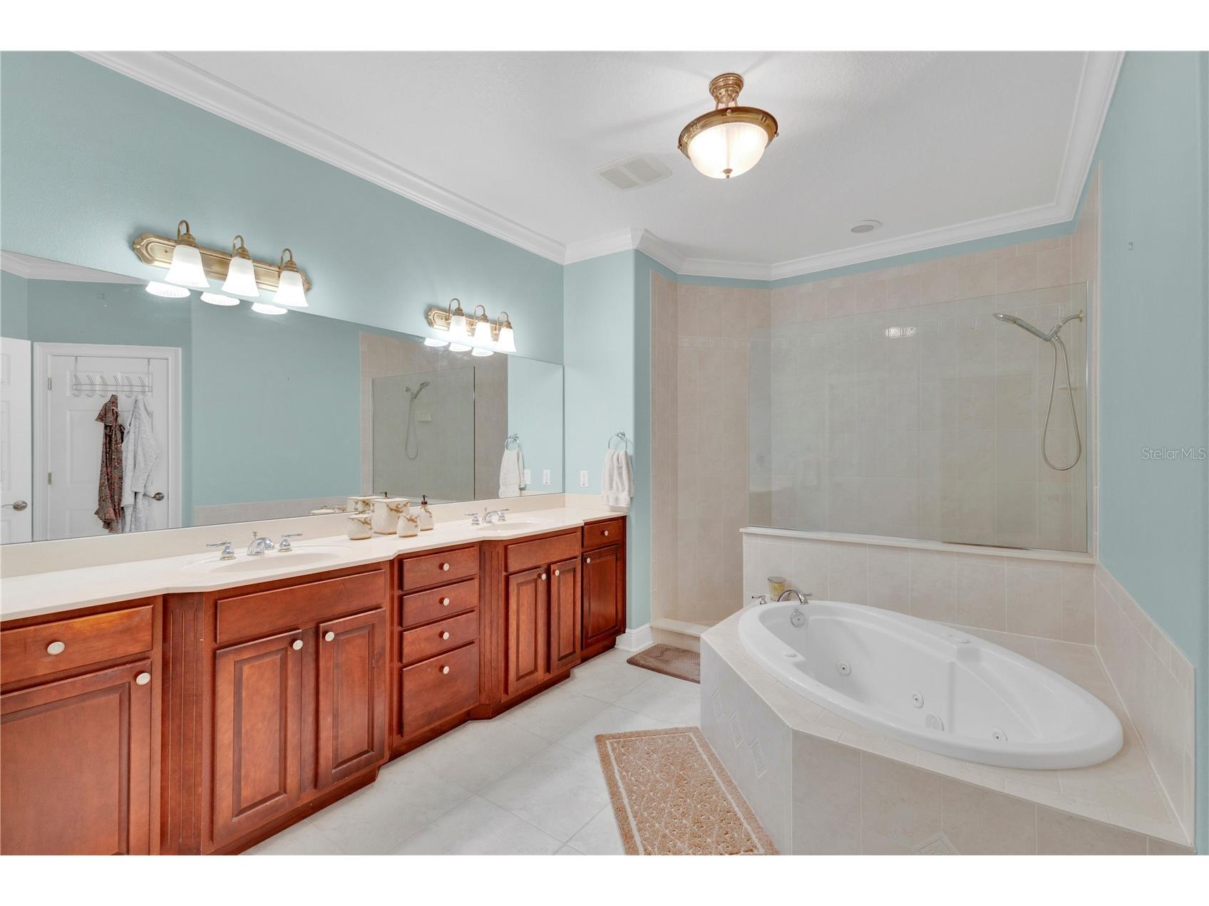 3320 Bracken Fern Drive Harmony FL 34773 S5147895 image13