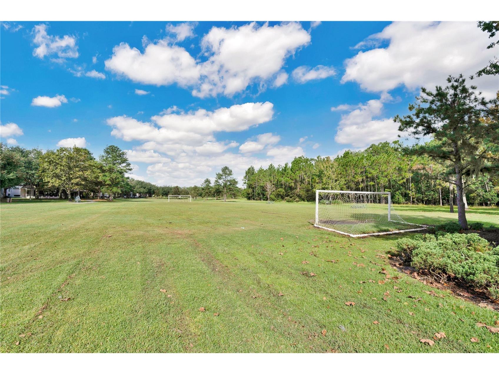 3320 Bracken Fern Drive Harmony FL 34773 S5147895 image37