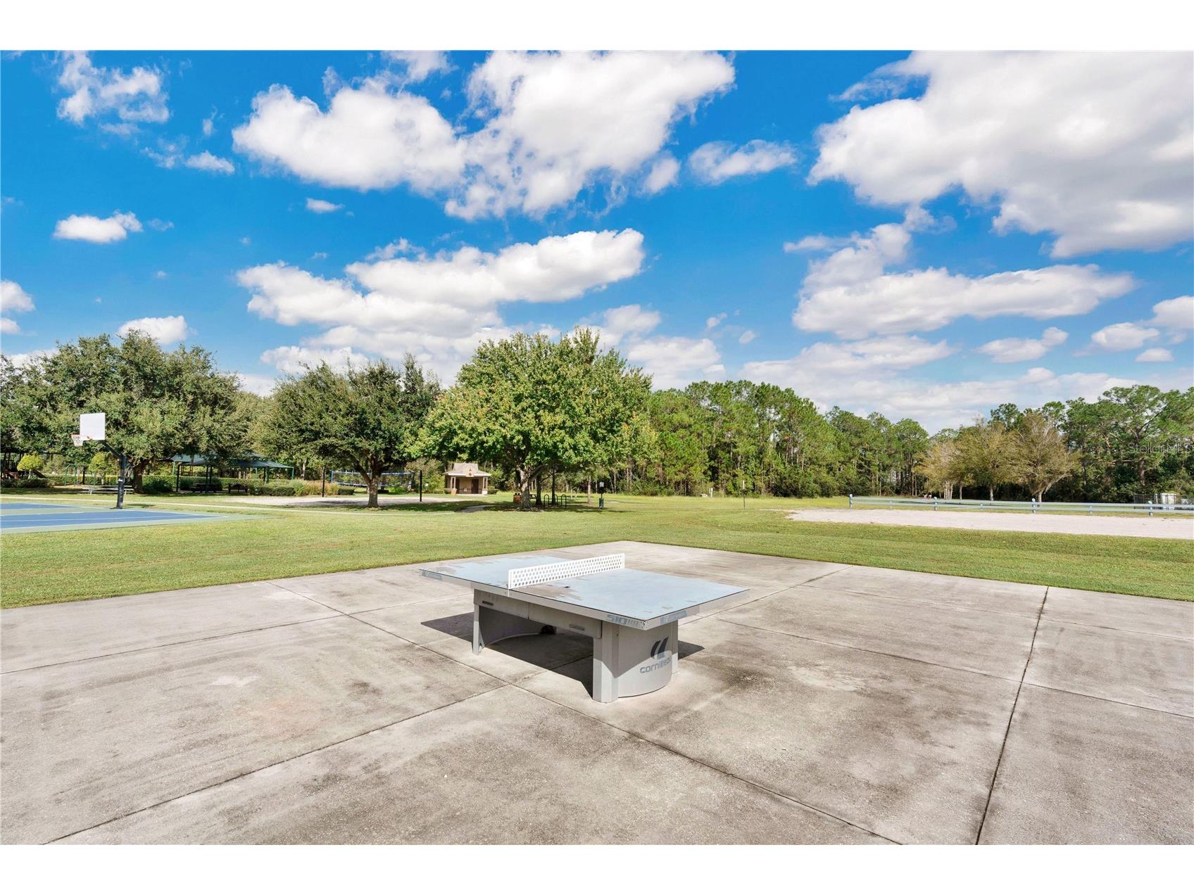 3320 Bracken Fern Drive Harmony FL 34773 S5147895 image42