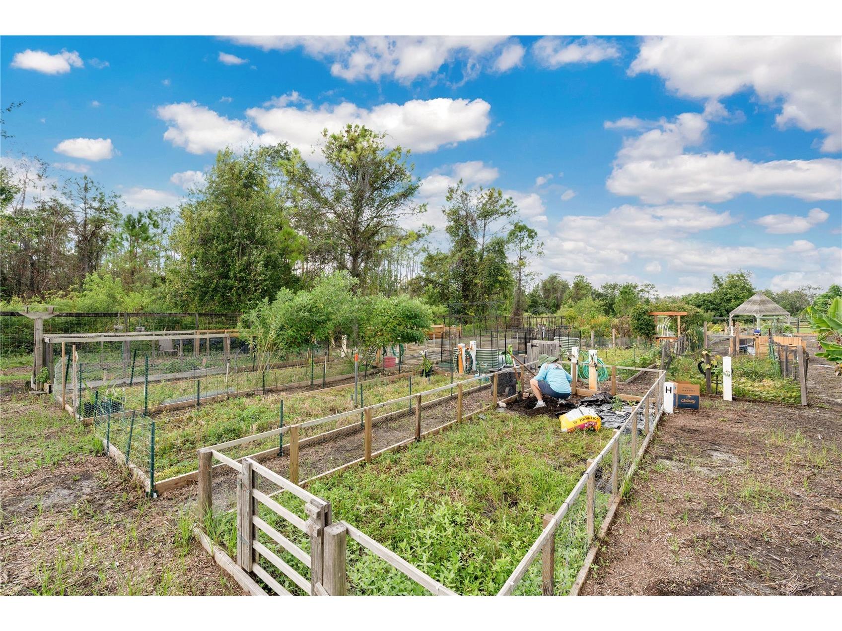 3320 Bracken Fern Drive Harmony FL 34773 S5147895 image45