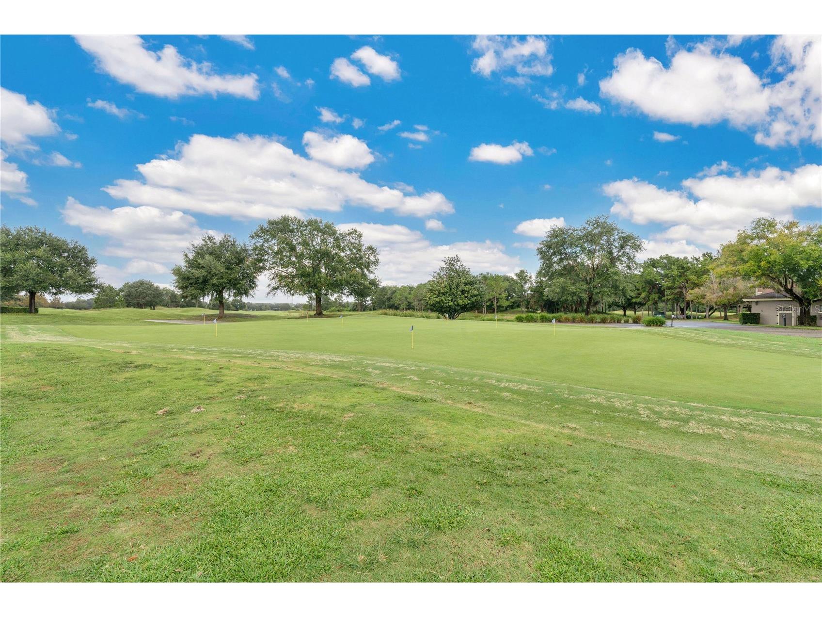 3320 Bracken Fern Drive Harmony FL 34773 S5147895 image48