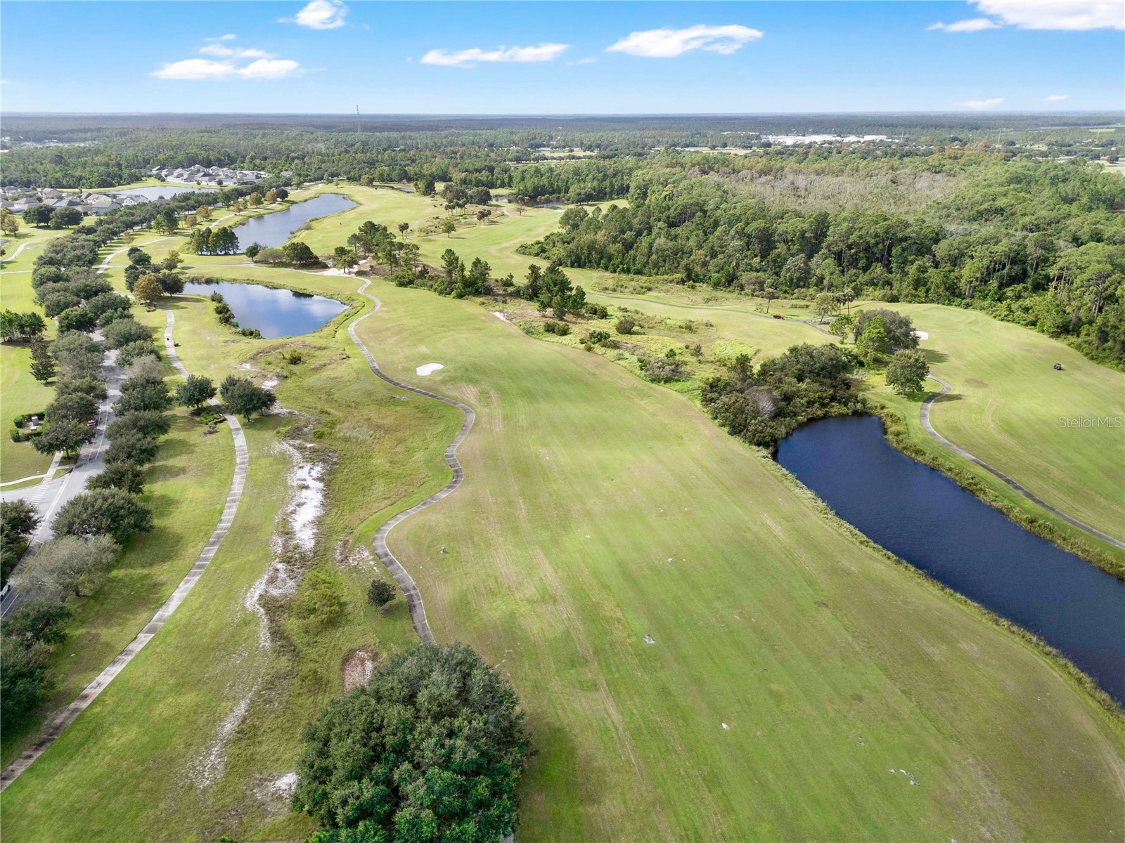 3320 Bracken Fern Drive Harmony FL 34773 S5147895 image57