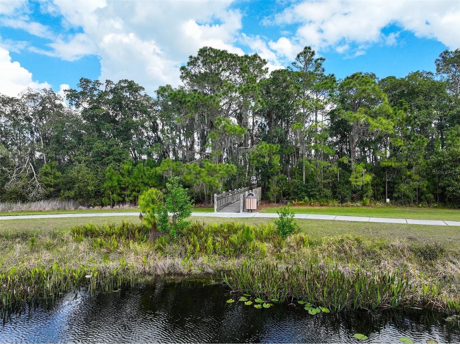 3320 Cordgrass Pl Saint Cloud FL 34773 S5146206 image59
