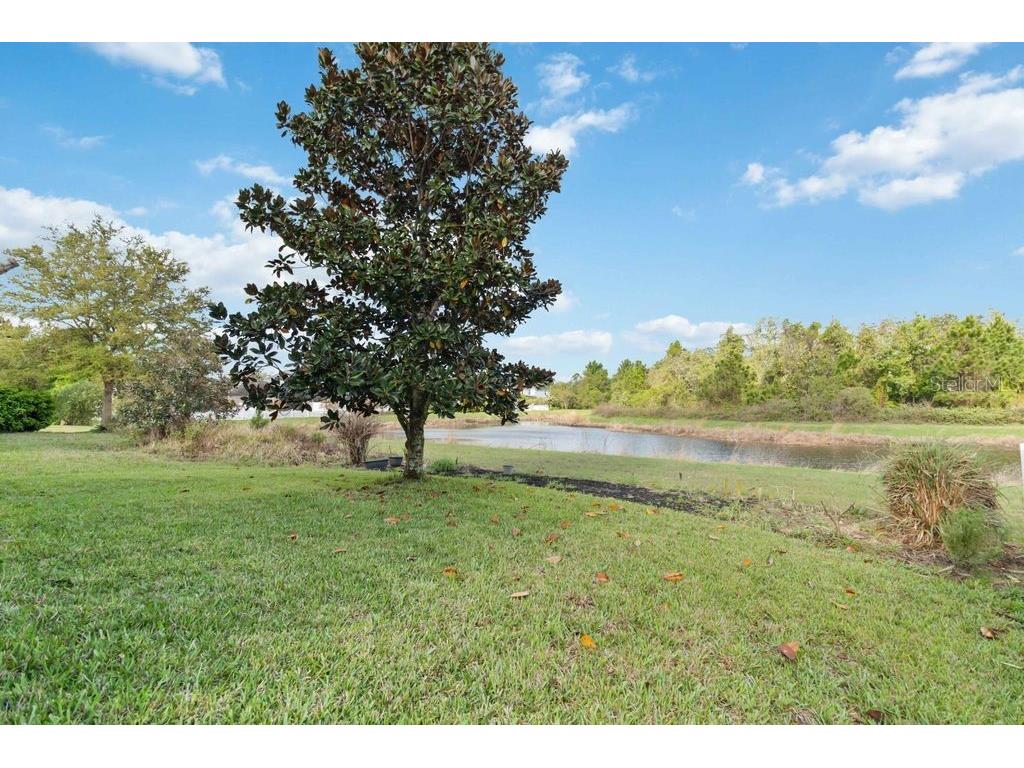 3320 Grande Heron Drive Harmony FL 34773 S5145995 image46