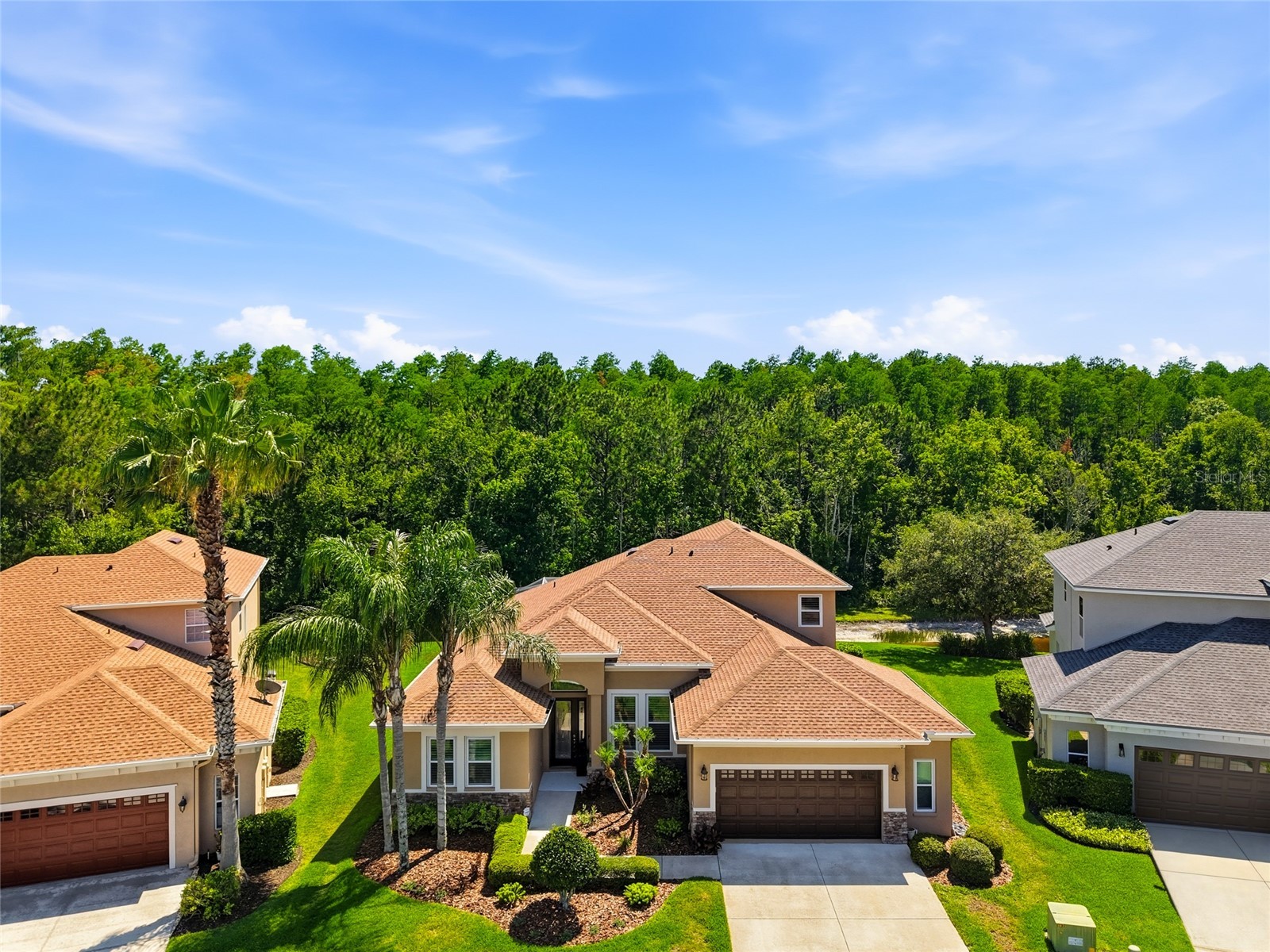 3320 Grassglen Place Wesley Chapel FL 33544 TB8509421 image1