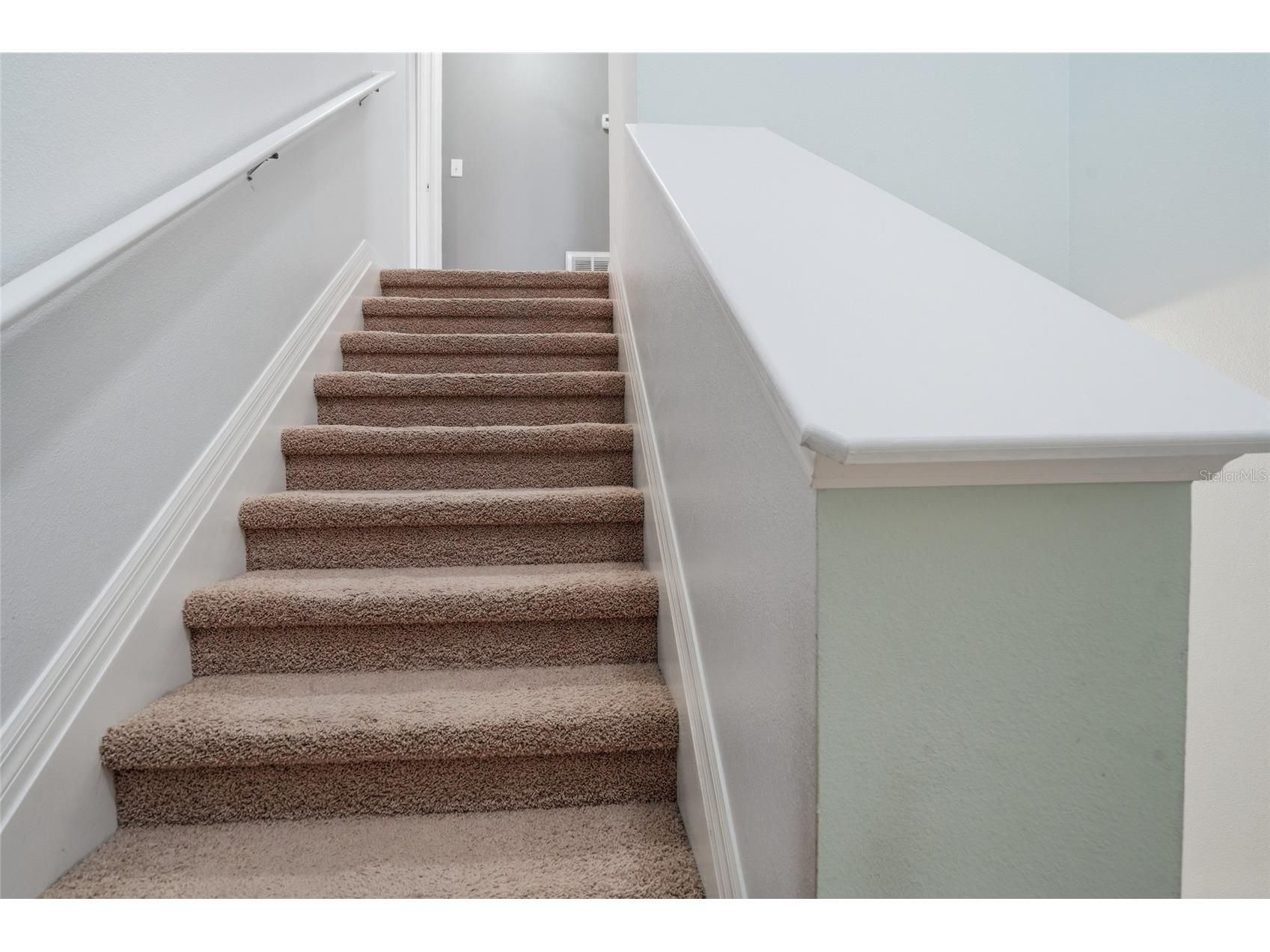 3320 Grassglen Place Wesley Chapel FL 33544 TB8509421 image31