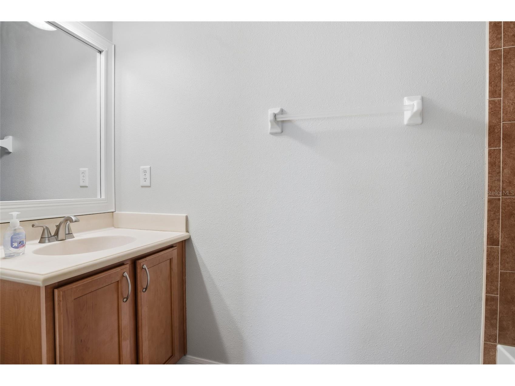 3320 Grassglen Place Wesley Chapel FL 33544 TB8509421 image32
