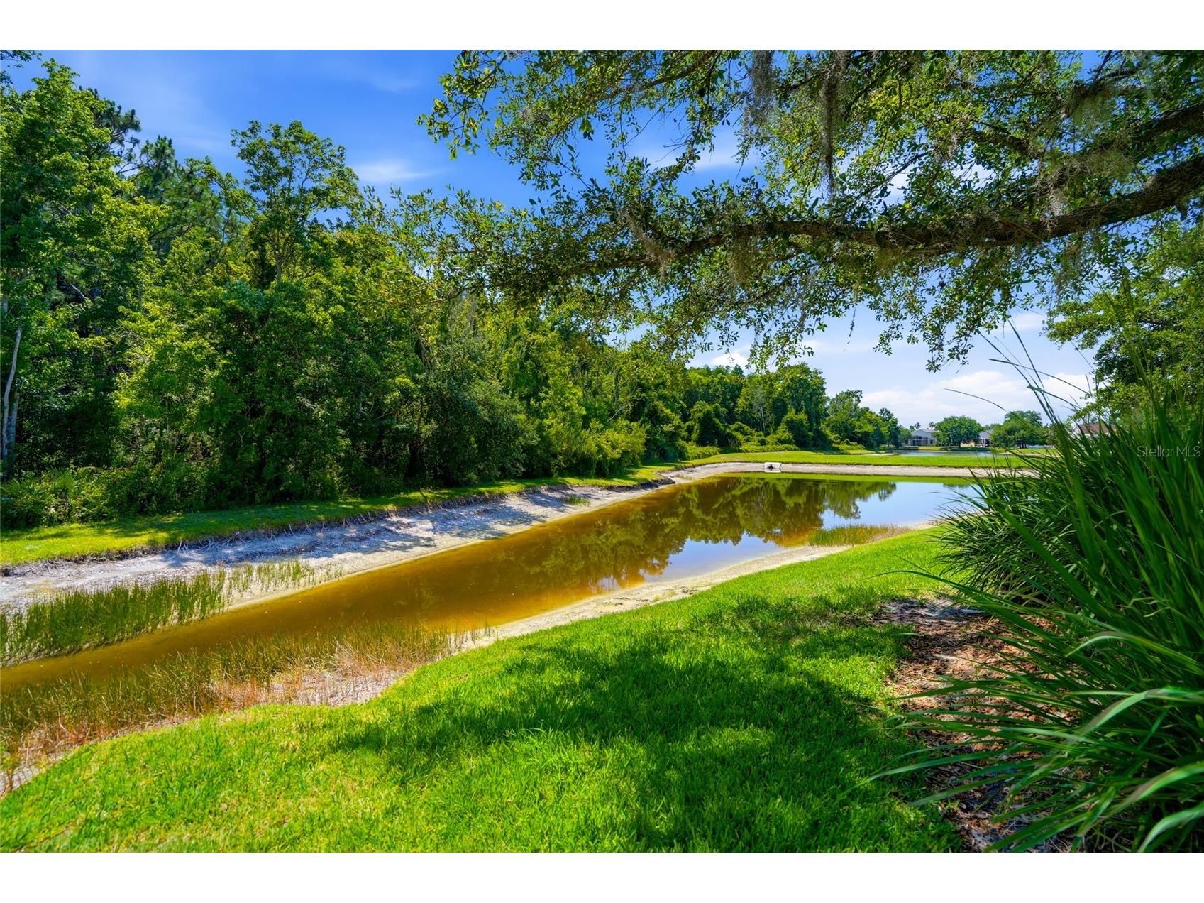 3320 Grassglen Place Wesley Chapel FL 33544 TB8509421 image47