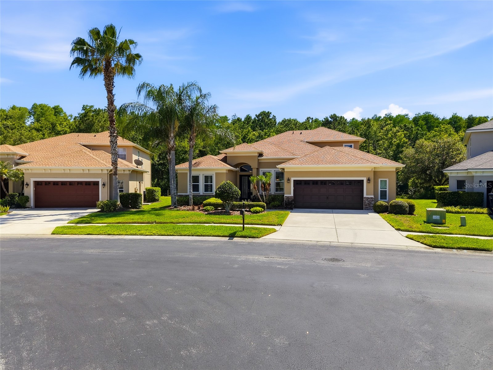 3320 Grassglen Place Wesley Chapel FL 33544 TB8509421 image5