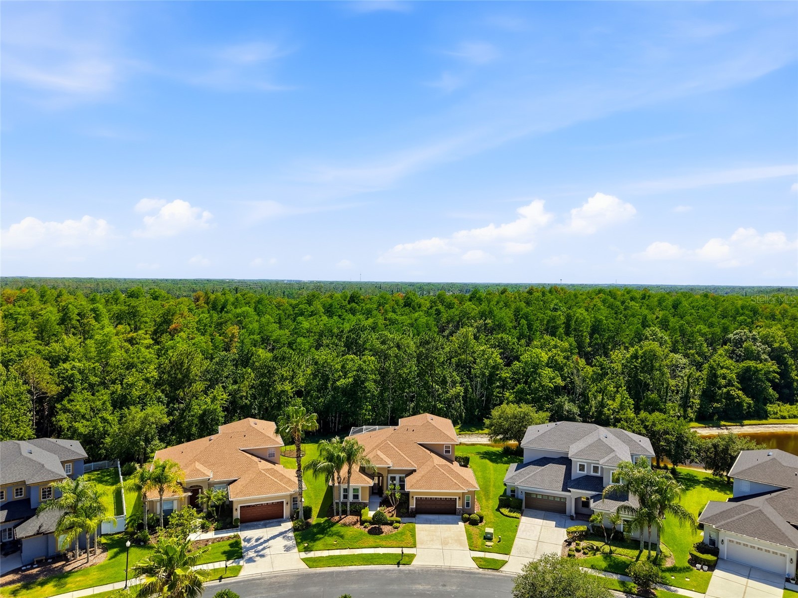 3320 Grassglen Place Wesley Chapel FL 33544 TB8509421 image6