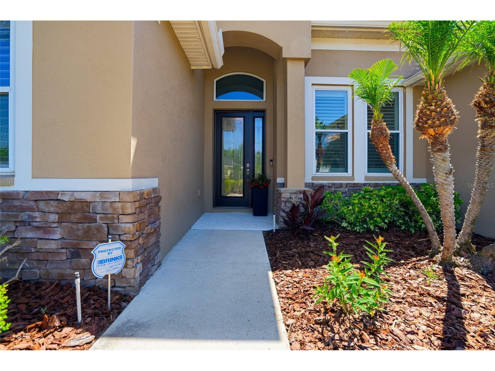 3320 Grassglen Place Wesley Chapel FL 33544 TB8509421 image7