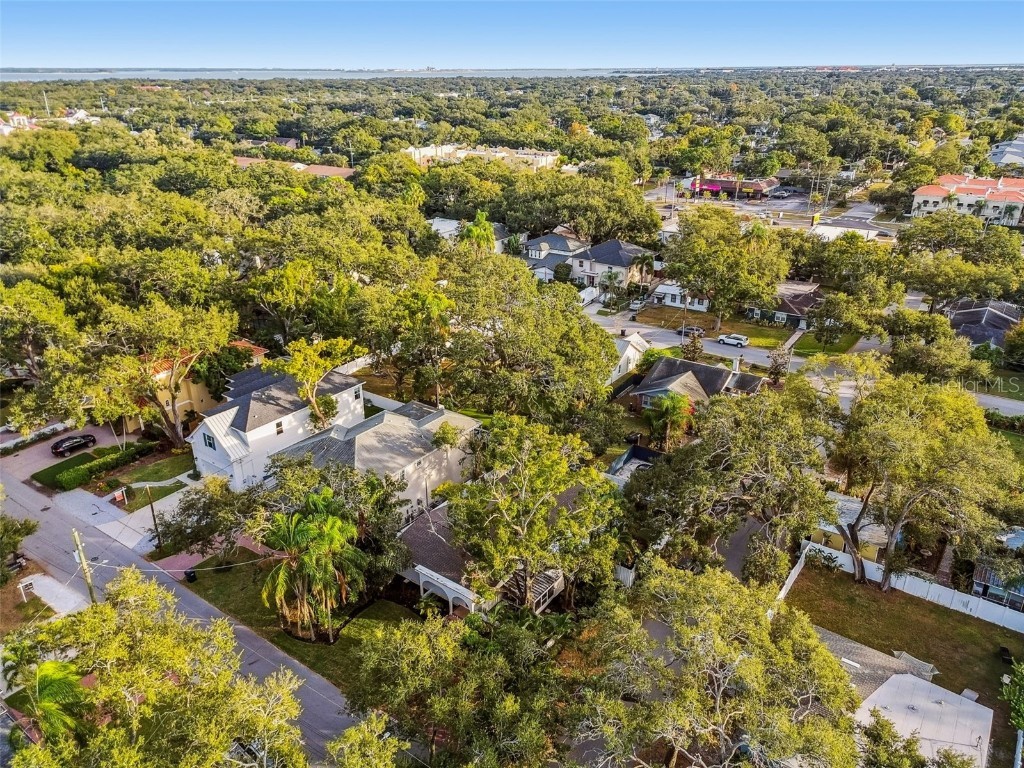 3320 W Villa Rosa Street Tampa FL 33611 TB8447813 image55