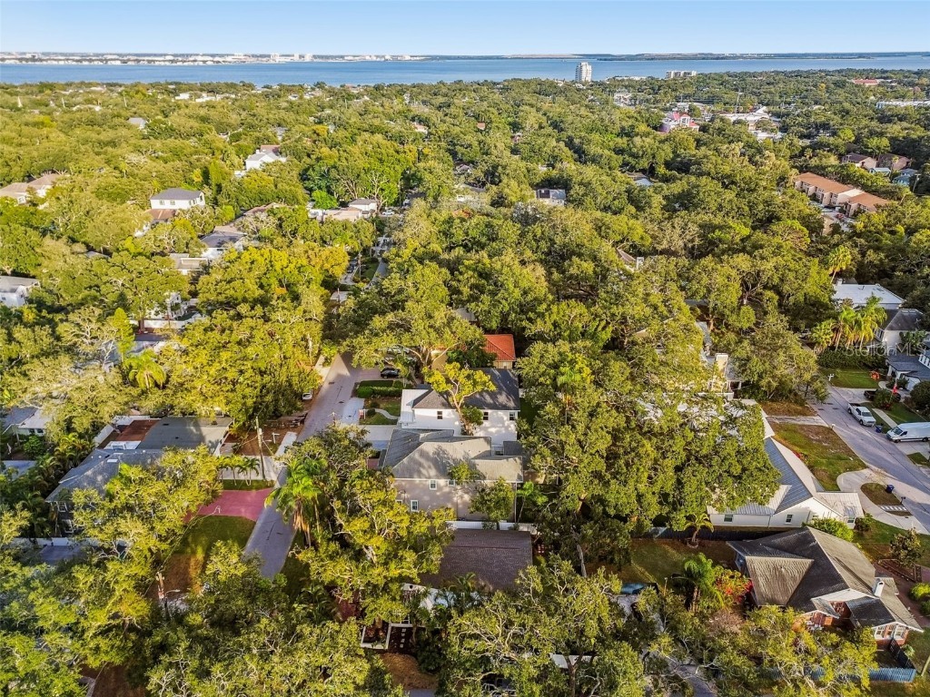 3320 W Villa Rosa Street Tampa FL 33611 TB8447813 image56